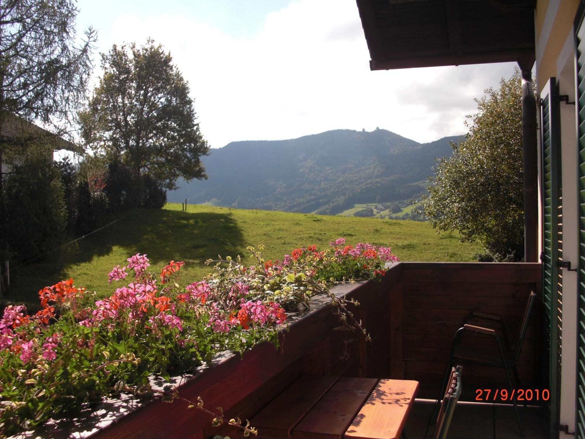 Pension Winter Zell am Moos Εξωτερικό φωτογραφία