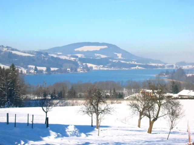 Pension Winter Zell am Moos Εξωτερικό φωτογραφία